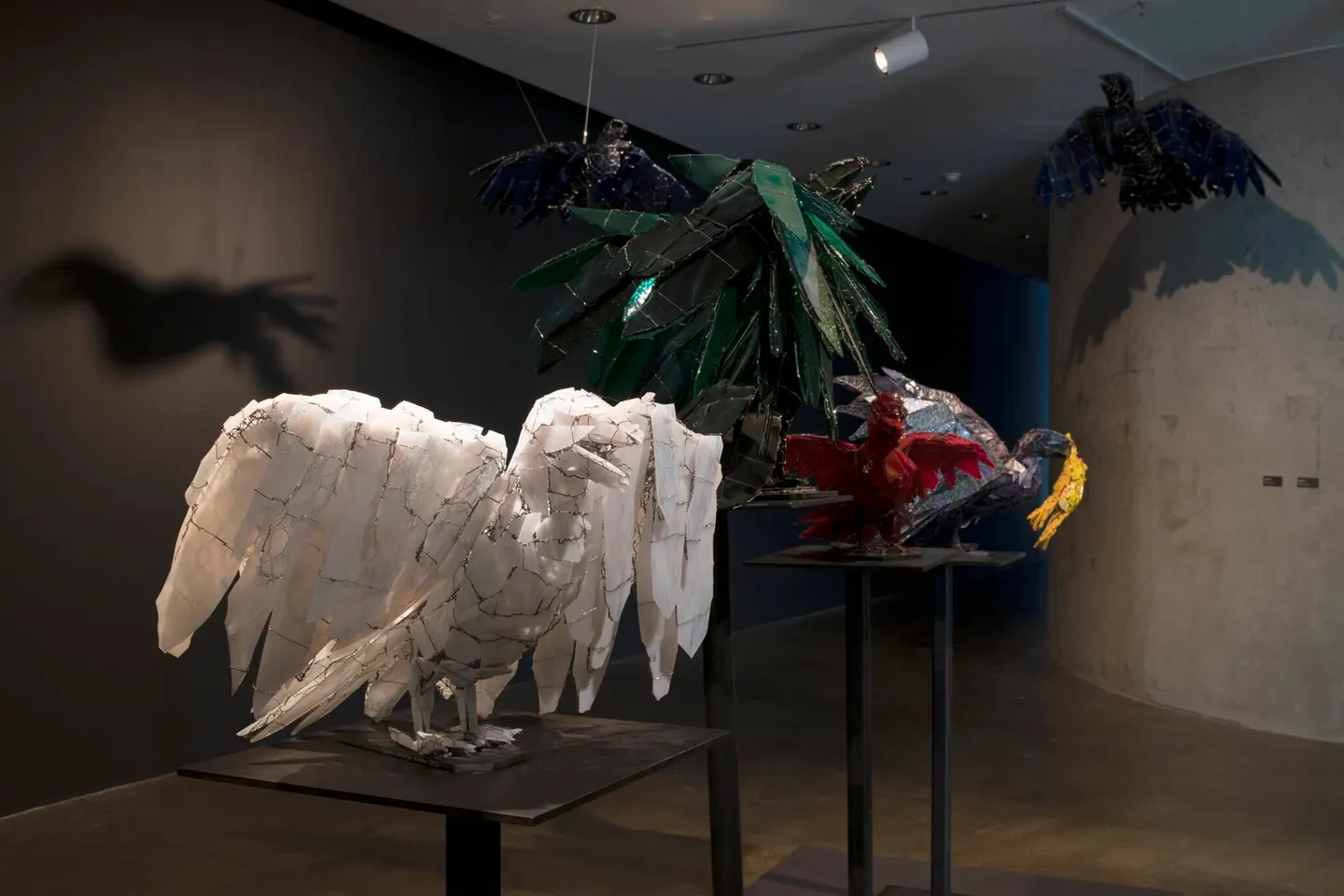 Installation view of “Ravens: Spirits of the Sky” at American University Museum, open through May 17, 2026. John Woo