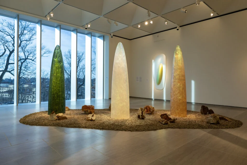 Gisela Colón: Radiant Earth, installation view (Photo: Patrick Sikes)
